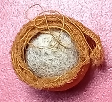 20250617_161014.jpg