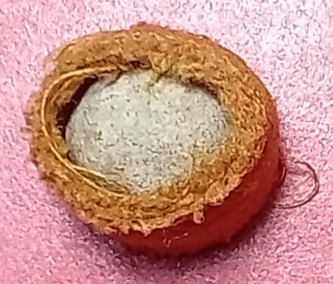 20250617_161024.jpg