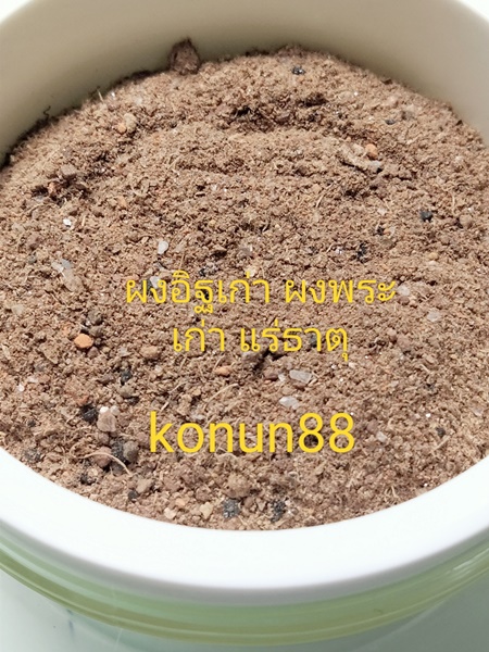 238617.jpg